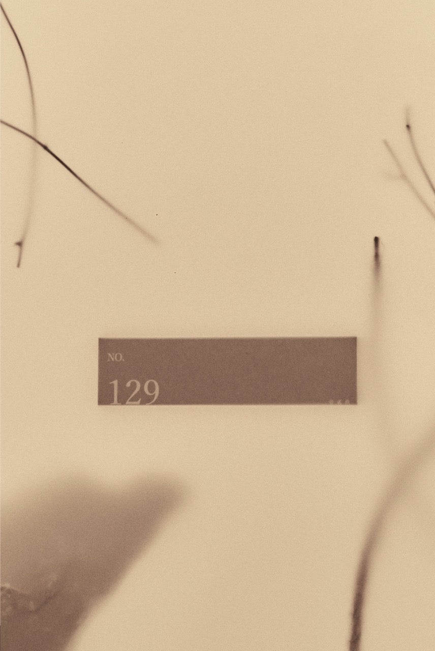 Numero 129