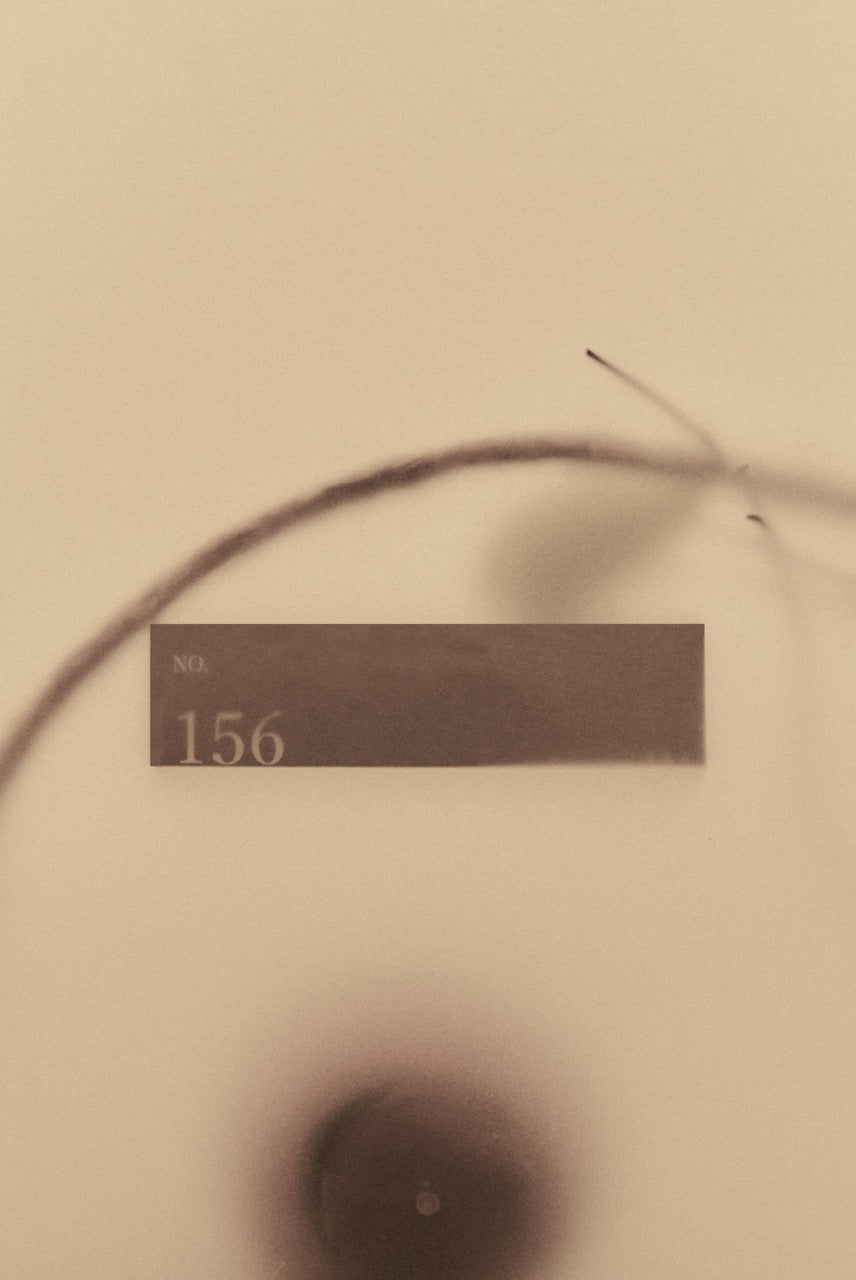 No. 156