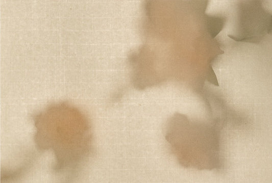 3688 - Afternoon Relaxation